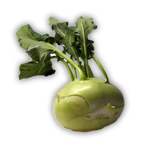 Kohlrabi