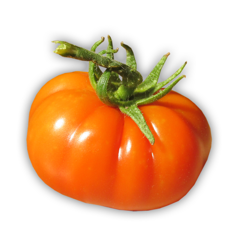 Tomate